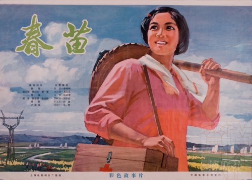 做假尼加拉瓜驾驶证
